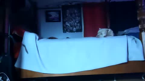 SEX ADDICTION WANNA MEET online show from January 20, 6:10 am