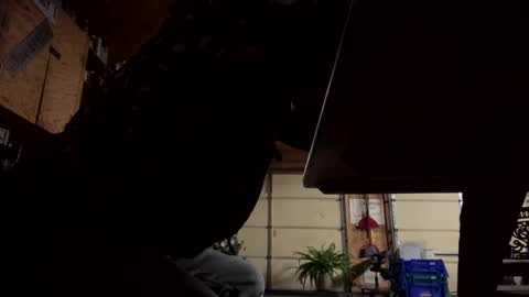 playerpleasure online show from October 26, 8:59 am