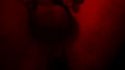 AverageJerkoffEnjoyer online show from December 1, 6:33 am