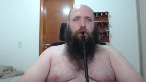 Bear online show from February 16, 8:21 am