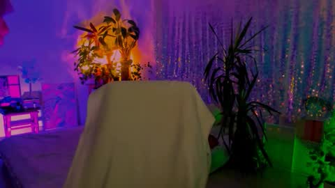 Martha online show from November 6, 8:23 pm