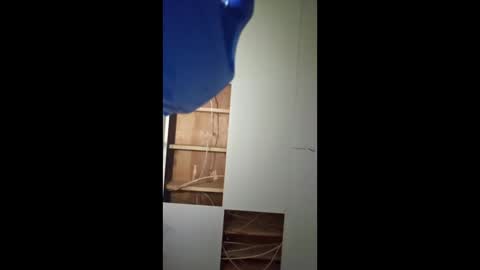 porkynerd online show from September 19, 8:18 am