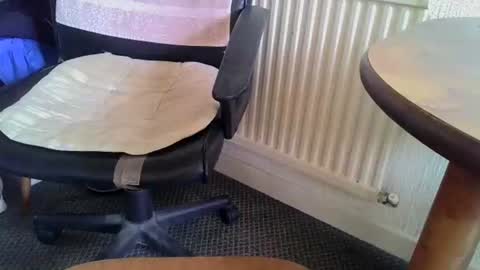 poshman65 online show from February 10, 12:52 pm