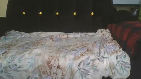 doll online show from November 19, 8:40 pm