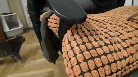 Prince Of Prague online show from March 2, 2:19 am