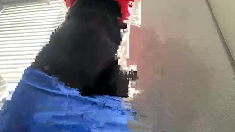 prtty2345 online show from February 28, 6:34 pm