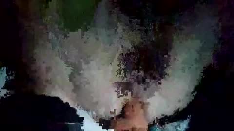 ptut82 online show from October 28, 5:52 am