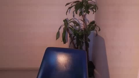 purepleasure25 online show from December 5, 6:56 am