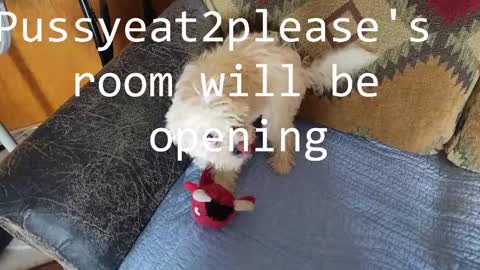 Rick online show from March 9, 2:21 pm