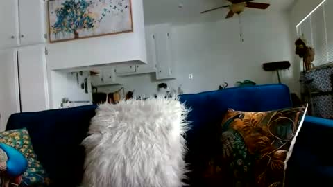 Queen Amber online show from July 19, 11:18 pm