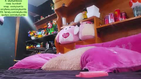 Sky Burrito online show from March 18, 11:43 pm