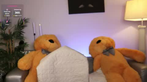 Nova Hollis online show from December 14, 10:54 am