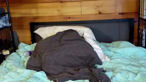 Rachel Price online show from March 2, 2:00 pm