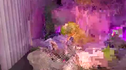 RaeWerks online show from October 26, 4:02 am