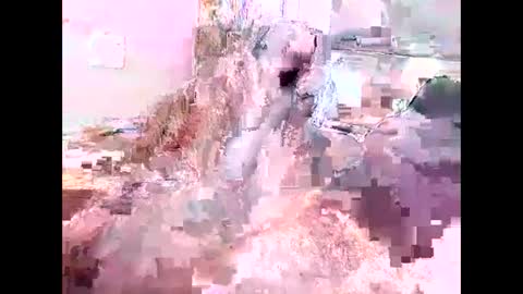 RAMAN online show from February 26, 5:21 pm