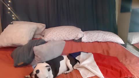    RAMONA Q   online show from December 3, 9:39 pm