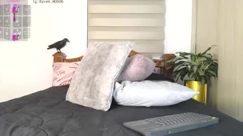 Snapshot of raven06_ chatting on October 23, 11:27 pm Raven online show from October 23, 11:27 pm