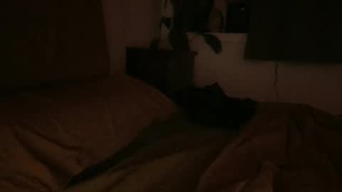 sebas online show from February 6, 6:51 am