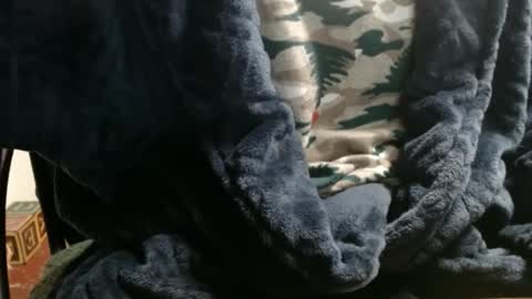 Ray online show from January 7, 12:34 am