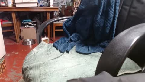 Ray online show from January 1, 1:04 am