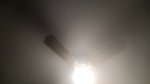 red24devils online show from February 26, 5:03 am