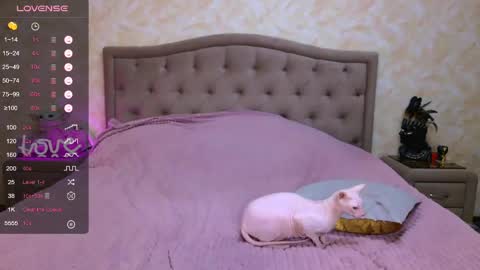 Regina online show from May 9, 8:26 pm