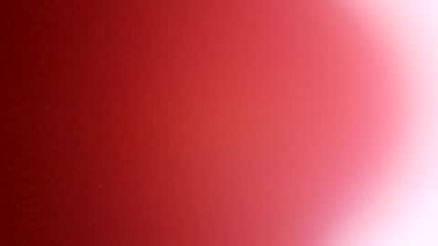 rhino69xx online show from December 8, 6:54 am