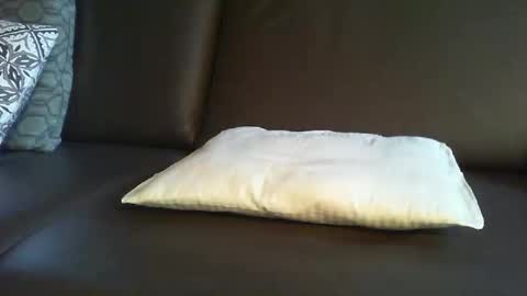 Richie online show from November 9, 12:41 pm