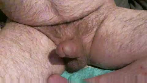 Anon online show from December 2, 5:51 am