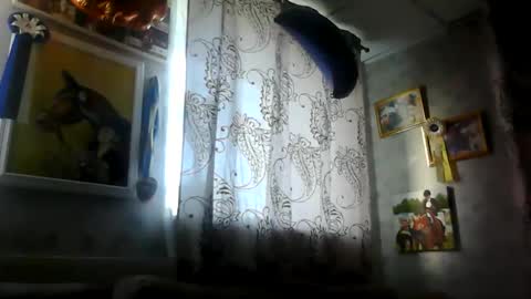 rob18997 online show from November 16, 11:01 am