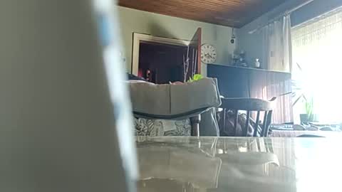 robke1966 online show from July 4, 6:17 am