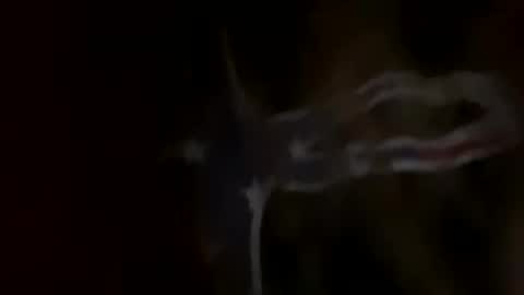 rockgod2112 online show from September 17, 12:08 pm