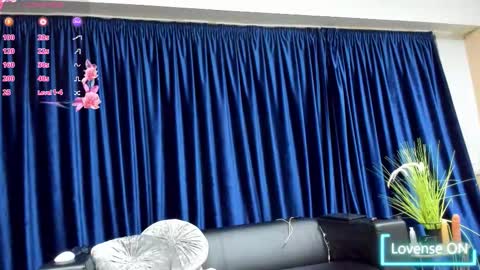 Rose online show from November 4, 4:03 am