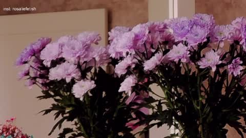 Rosalie online show from March 31, 3:51 am