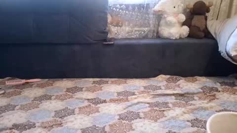 rosejanos online show from December 14, 9:15 am