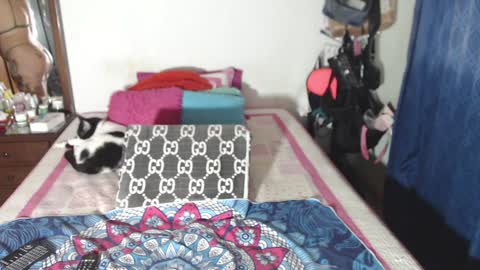 rousse online show from December 29, 2:49 am