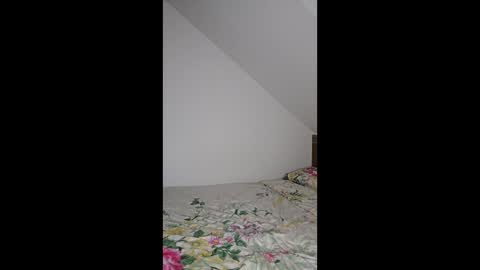 Roxy Seidel online show from April 12, 7:40 pm