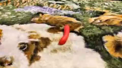 Ruskinni online show from June 19, 5:41 pm