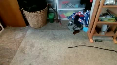 s_t_u_d_420 online show from April 16, 9:39 pm