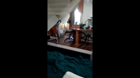 salis1981 online show from March 17, 8:14 pm