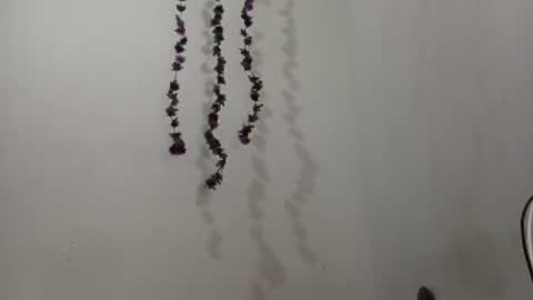 Salome online show from July 29, 3:17 am