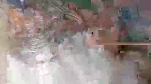 sameroptike67 online show from March 28, 8:16 am