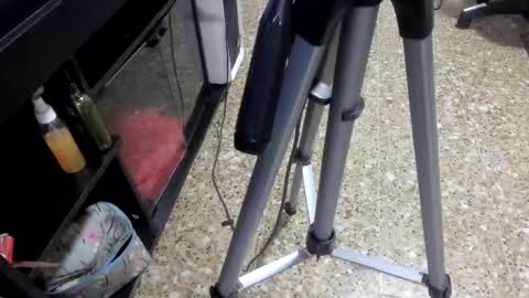 sara_salgado online show from February 11, 11:03 am