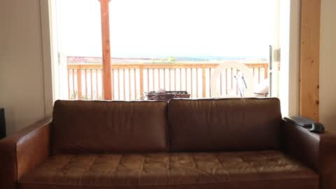 Back from Vacay  Follow for more here  online show from October 31, 12:22 am