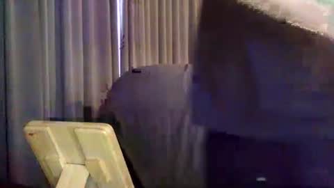 sassykitttykat online show from October 28, 11:00 am