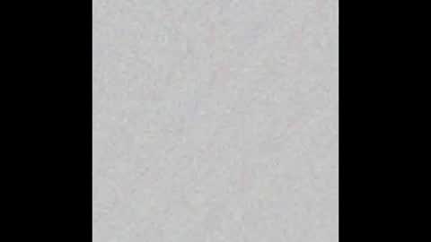 Snapshot of scalertt__steel_ chatting on February 17, 11:23 am Venus online show from February 17, 11:23 am