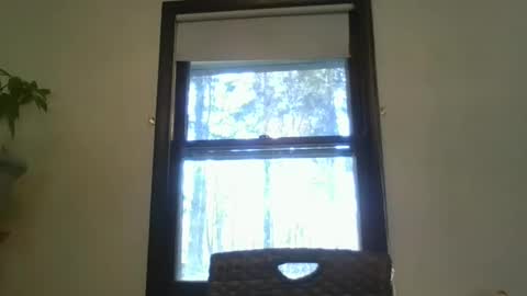 scottpbi52 online show from February 7, 7:27 pm