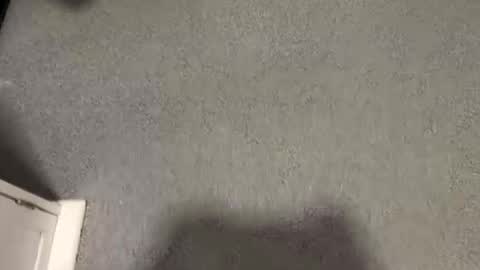 scottyc48 online show from September 13, 9:12 am