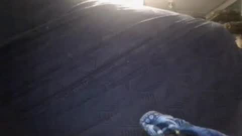 Sunny online show from February 24, 3:31 am