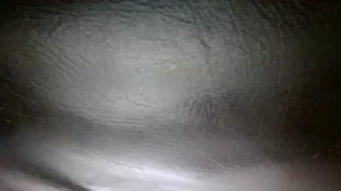 Sunny online show from November 3, 3:46 pm